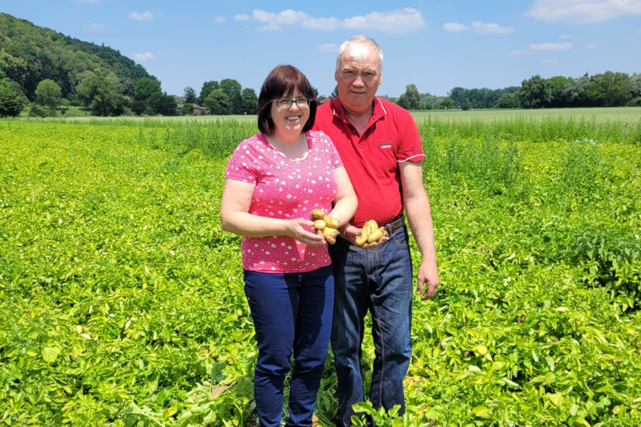 Regionaler Partner Gaßebner Kartoffel